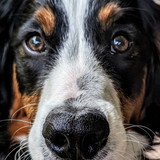 PXL 20221016 122928438~3