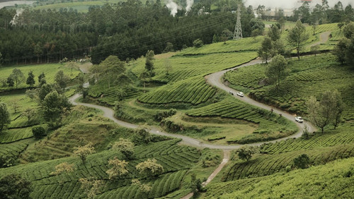 wayang windu kompres 5.jpg