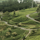 wayang windu kompres 5