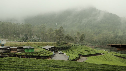 wayang windu kompres 4.jpg