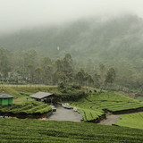 wayang windu kompres 4