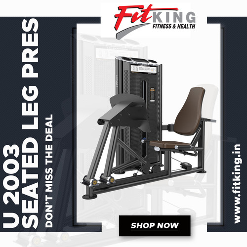 SEATED LEG PRESS U 2003 Fitking Fitness.jpg