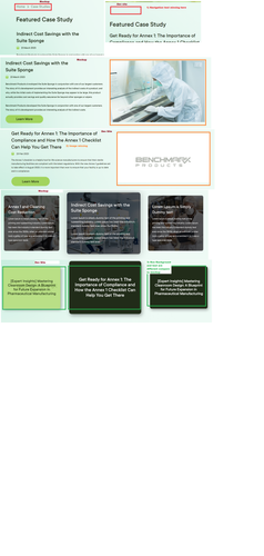 AnnexurePageDesign Issues.png