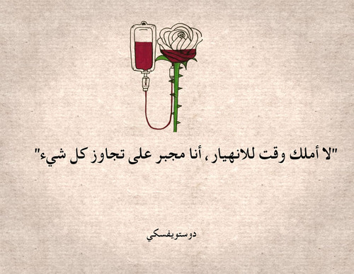 362248446 258787380273307 8409722566159836567 n.jpg