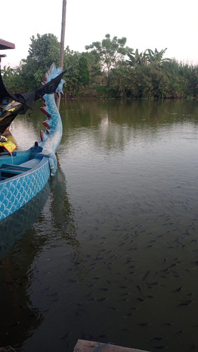 WhatsApp Image 2023 07 27 at 22.58.56.jpg