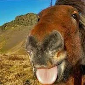 image 2023 07 29 084734955.png