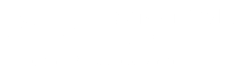 SVB LogoWhite.png