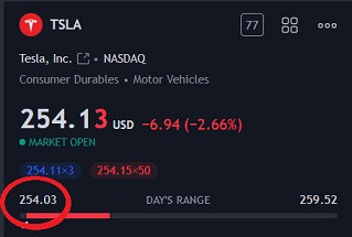 tsla 8223.jpg
