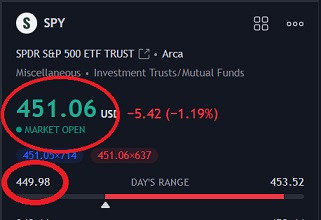SPY 8223.jpg