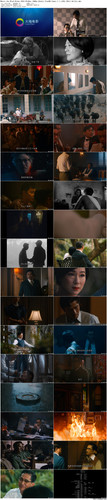 Where.the.Wind.Blows.2022.BluRay.1080p.2Audio.TrueHD.Atmos.7.1.x265.10bit BeiTai preview.jpg