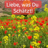 VID 1690844071916.gif