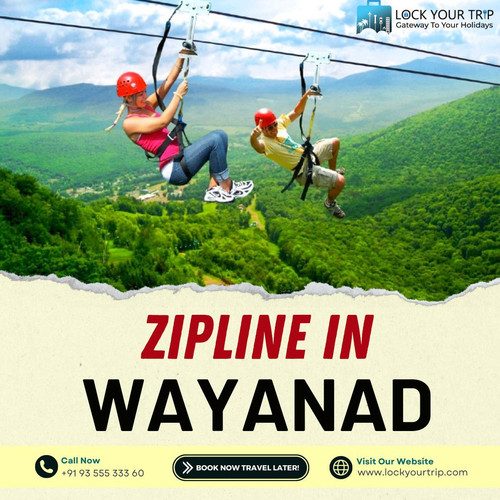 Zipline in Wayand.jpg