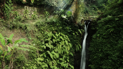 CURUG LANDSCAPE.jpg