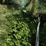 CURUG LANDSCAPE