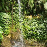 CURUG DEWA