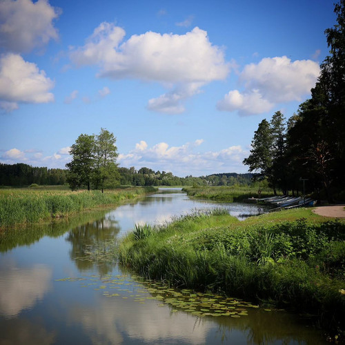 riksu.t summer fields!!.jpg