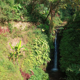 curug dewa1