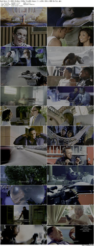 Bad.Boys.II.2003.BluRay.2160p.TrueHD.Atmos.7.1.x265.10bit.HDR BeiTai preview.jpg
