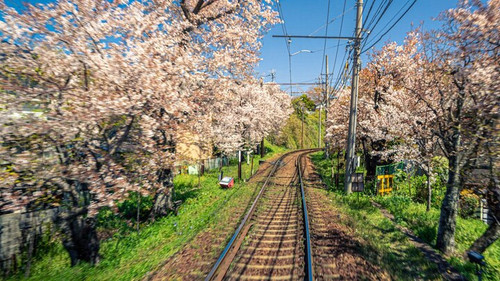 image search 1690799546787.jpg