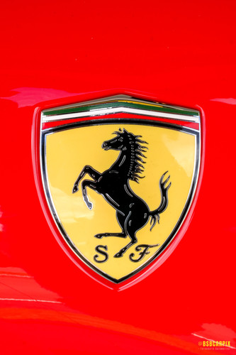 SAMSUNG CSC.jpg