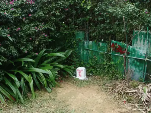 00008 劍潭山.webp