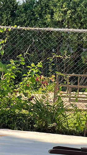 A6C17C9D 2D53 4128 94D5 B8D718A1F63A.jpg