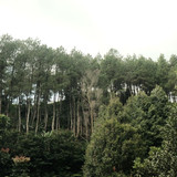 curug dewa kompres 2