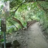 00004 天母古道中段變腰繞山路