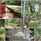 00018 紗帽山步道北段較和緩