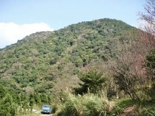 00011 天母古道仰望紗帽山.webp