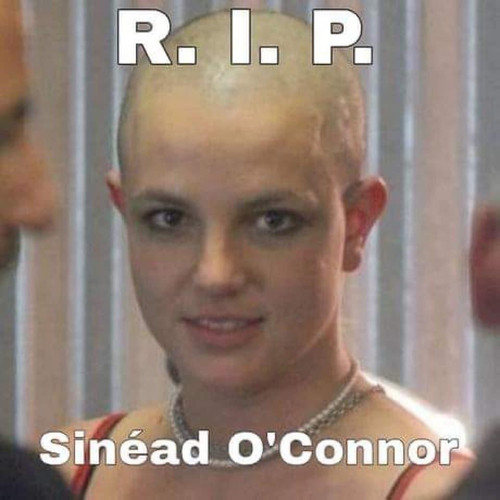IMG 6731