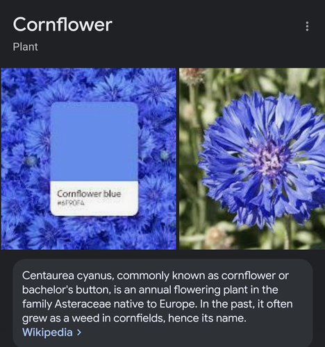 Screenshot 20230801 204124.png