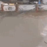 五菱潜水艇.gif