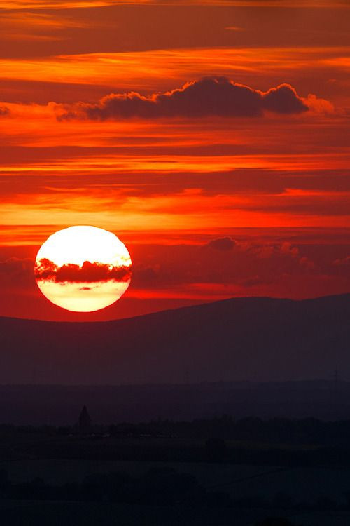 image search 1690814474462.jpg