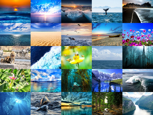 ' Glorified is The Mighty-Creator '.jpg