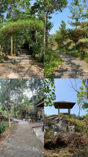 Foto Hutan Mayasih.jpg