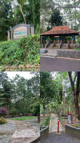Foto Hutan Bungkirit.jpg