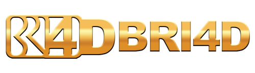 bri4d logo.png
