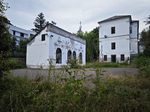 IMG 20230730 180710.jpg