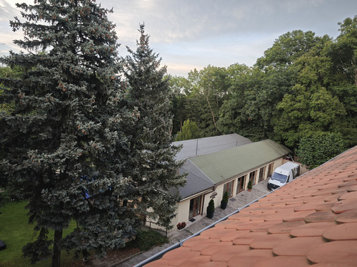 IMG 20230730 195809.jpg