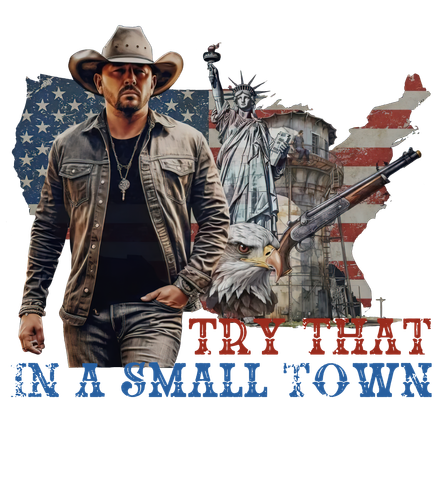 Try That In A Small Town Jason Aldean front