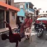 daily gifdump 3273 06.gif