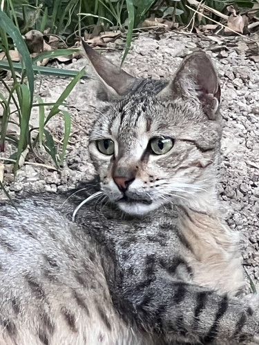 A9208EEC 0032 4BAF AF1C 3BD0D411E2CF.jpg