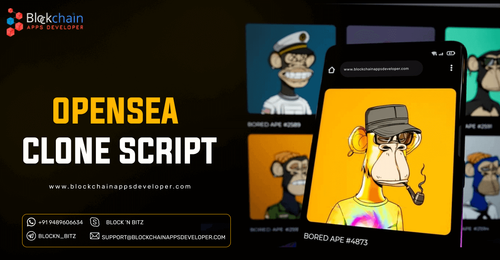 opensea clone script.png