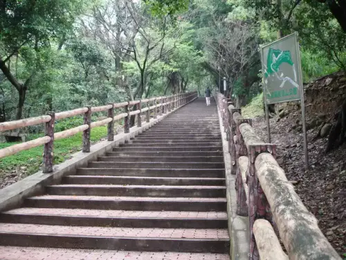 00002虎頭山步道.webp