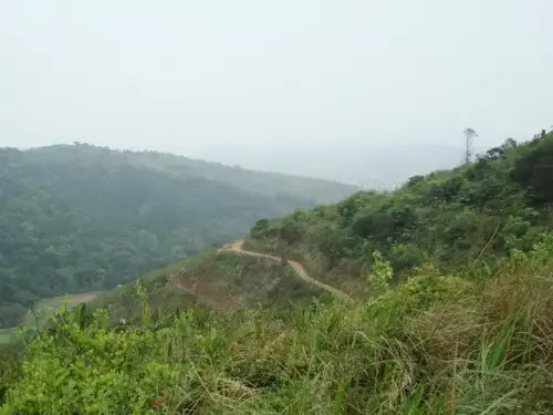 00010虎頭山步道.webp