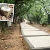 00003虎頭山步道