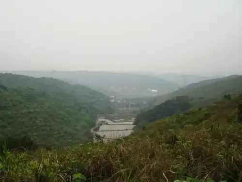 00014眺望楓樹杭.webp