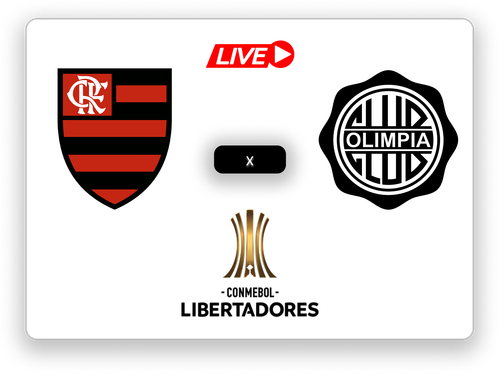 flamengo live.png