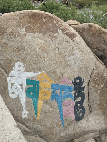 PXL 20230708 073759157.jpg